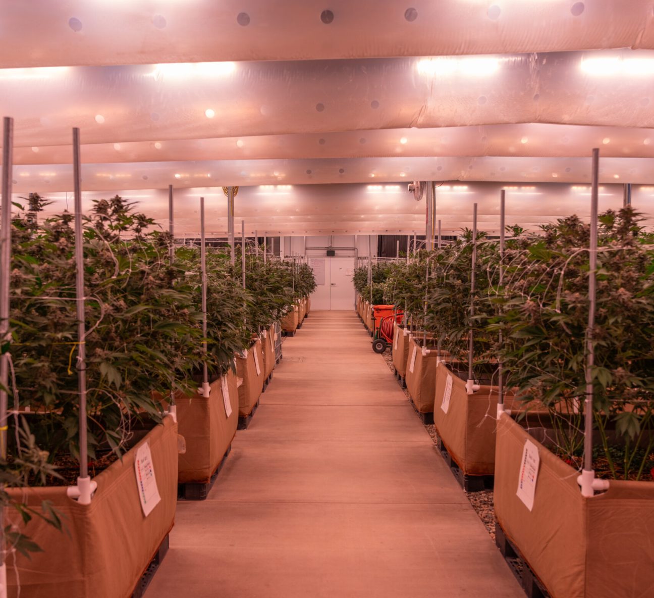 Better Every Batch. Living Soil WB Website